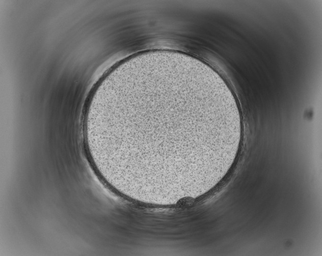 X0000114221141200911201039