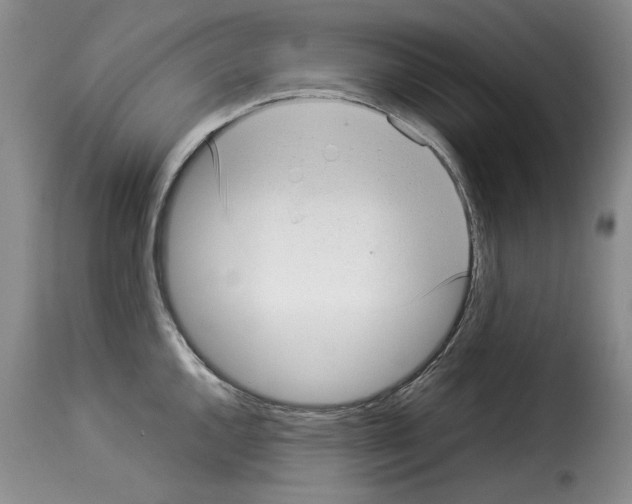 X0000114221144200911201039