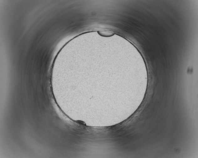 X0000114221152200911201040