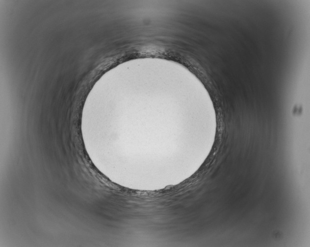 X0000114221153200911201039
