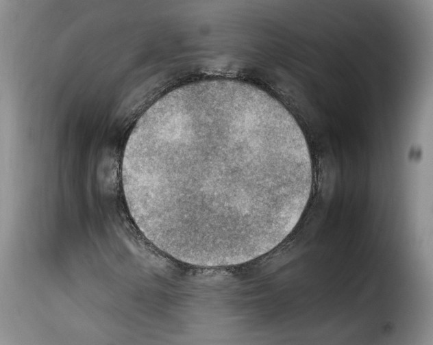 X0000114221154200911201039