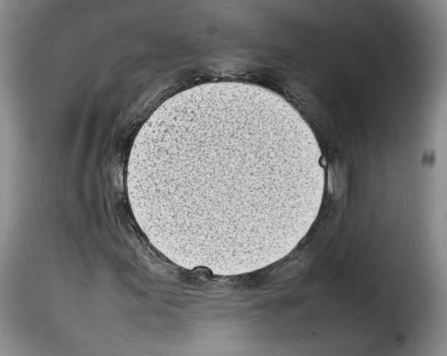 X0000114221155200911201039