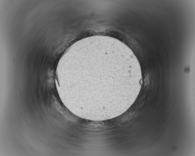 X0000114221156200911201039