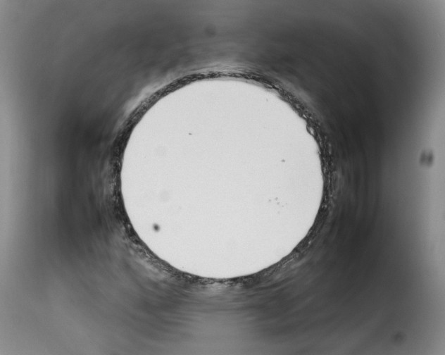 X0000114221160200911201039