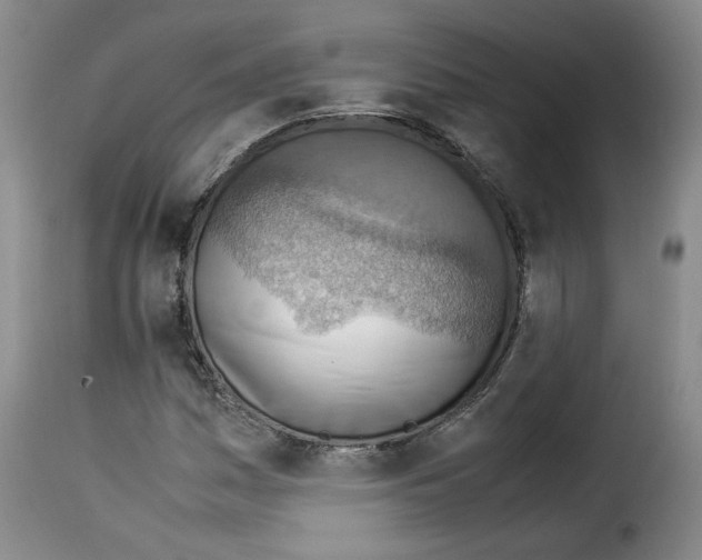X0000114221161200911201039