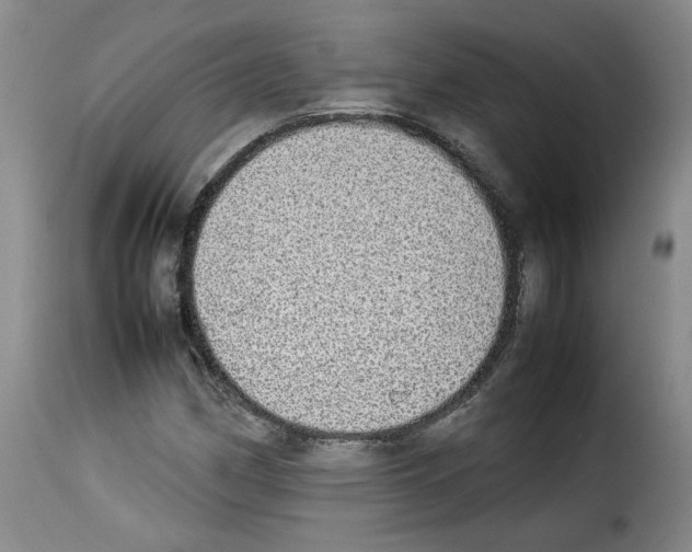 X0000114221162200911201039