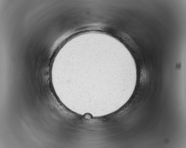 X0000114221164200911201039