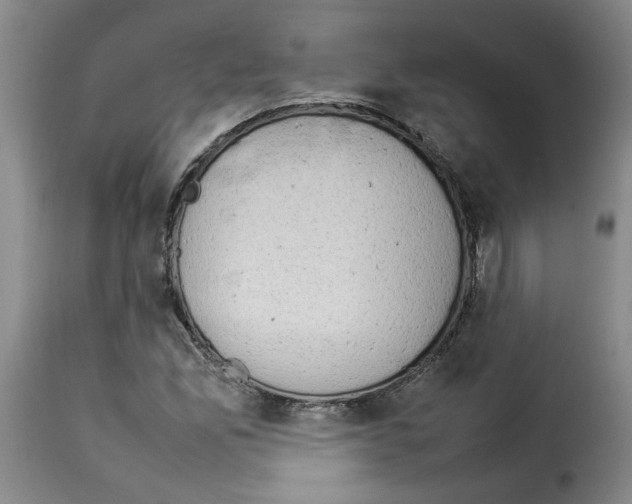 X0000114221165200911201039