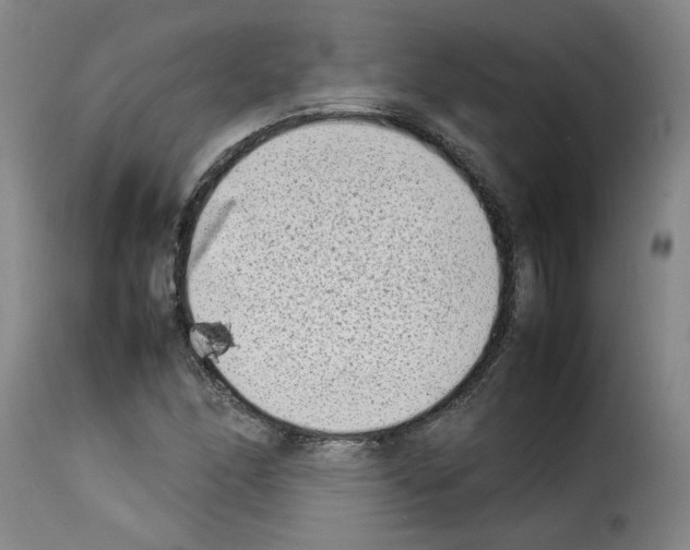 X0000114221166200911201039