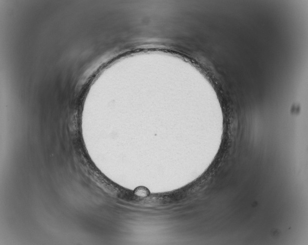 X0000114221167200911201038