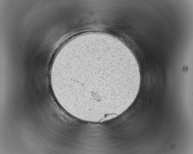 X0000114221168200911201038