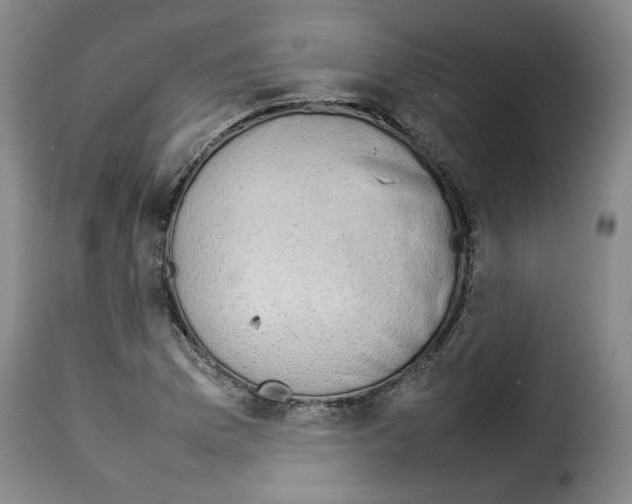 X0000114221169200911201038