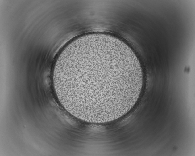 X0000114221170200911201038
