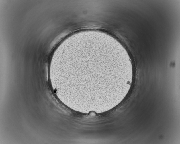 X0000114221171200911201038
