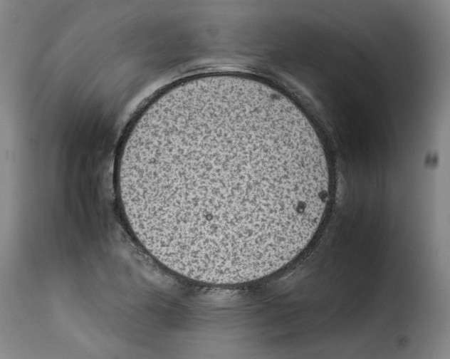 X0000114221174200911201038