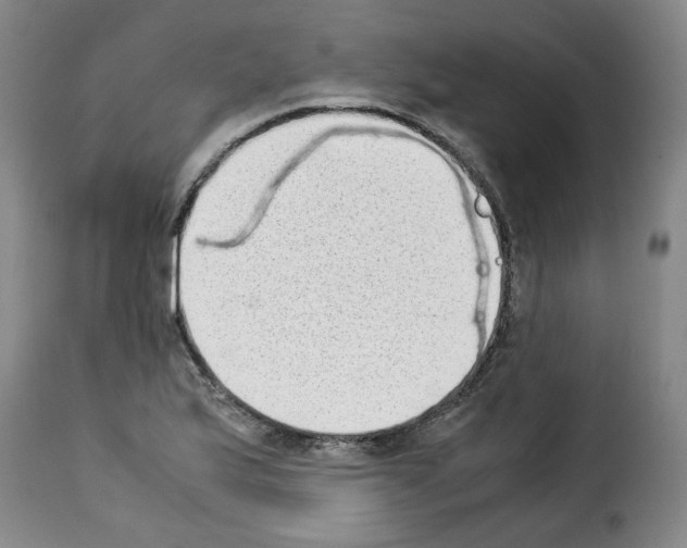X0000114221175200911201038