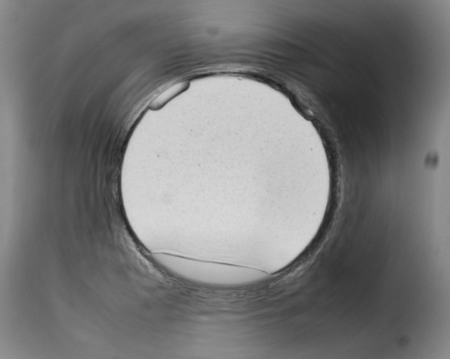 X0000114221177200911201038