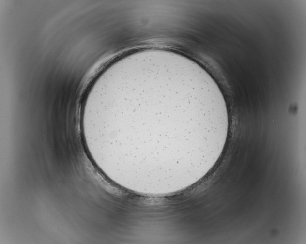X0000114221180200911201038