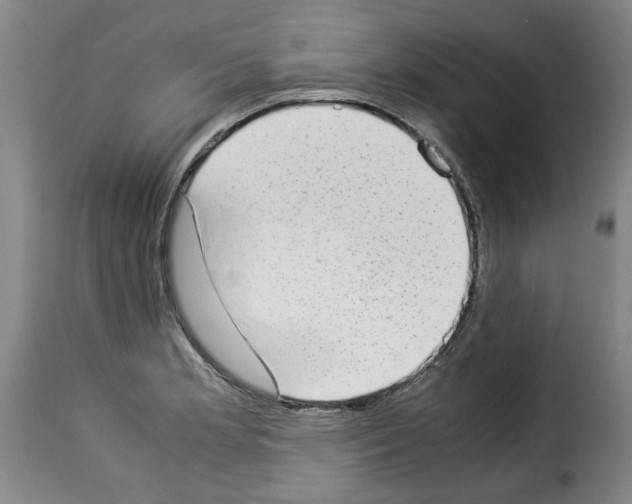X0000114221181200911201038