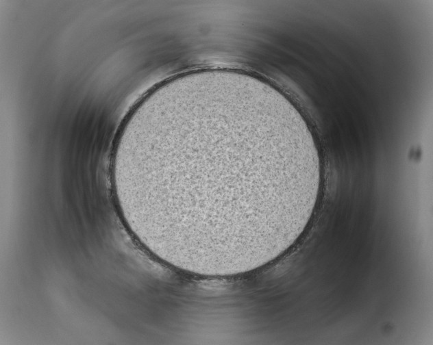 X0000114221182200911201038