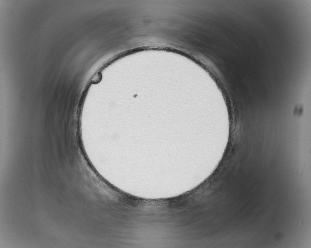 X0000114221183200911201038