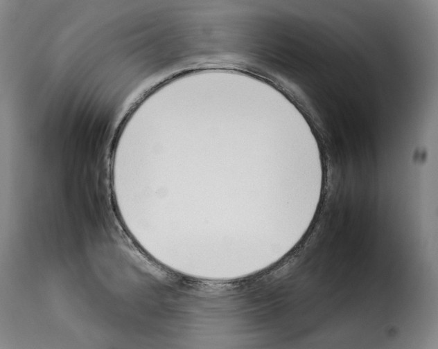 X0000114221184200911201038