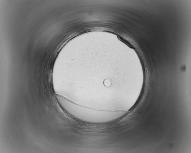 X0000114221193200911201038