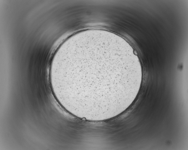 X0000114221196200911201038