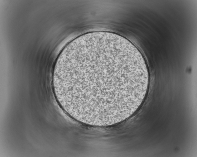 X0000114221197200911201038