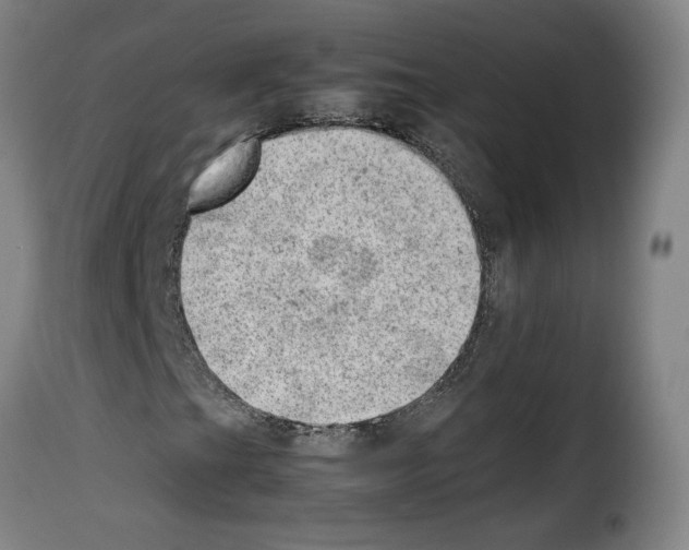 X0000114221201200911201037