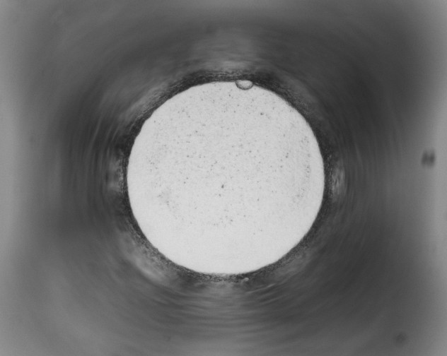 X0000114221204200911201037