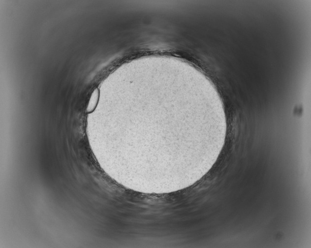 X0000114221205200911201037