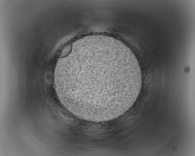 X0000114221207200911201037