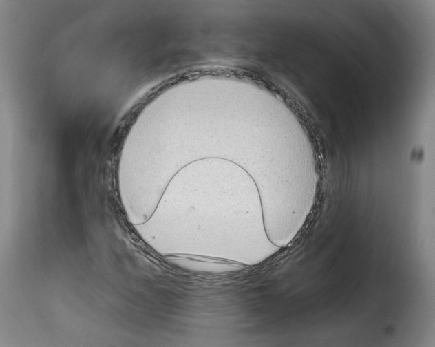 X0000114221208200911201037