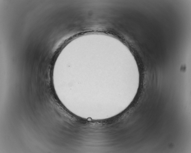 X0000114221214200911201037