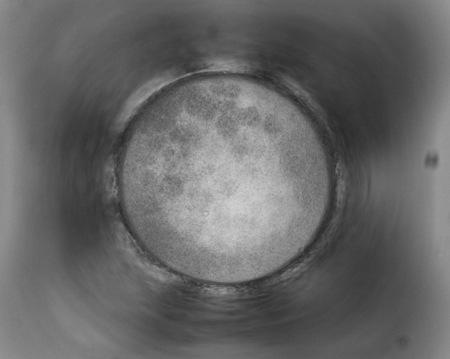 X0000114221215200911201037
