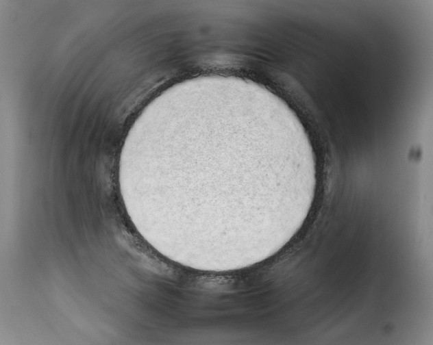 X0000114221217200911201037