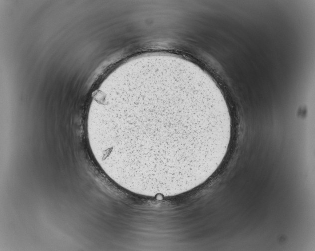 X0000114221218200911201037
