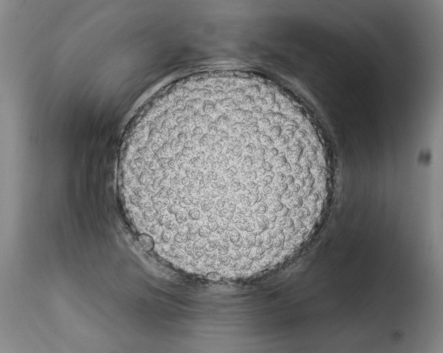 X0000114221220200911201037