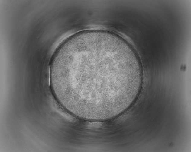 X0000114221223200911201038
