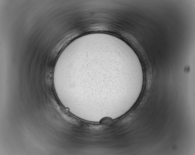 X0000114221225200911201038