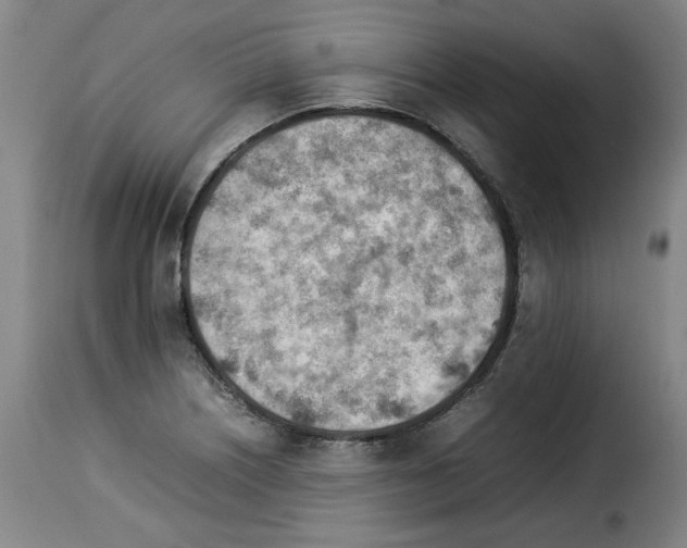 X0000114221226200911201038