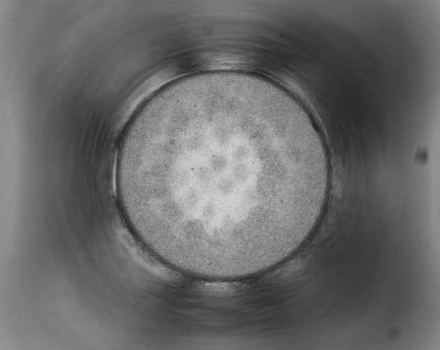 X0000114221227200911201038