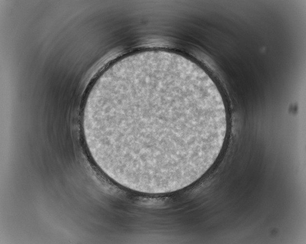 X0000114221229200911201038