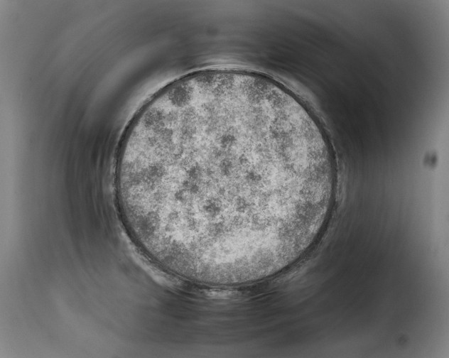 X0000114221231200911201038