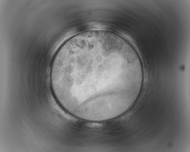 X0000114221235200911201038