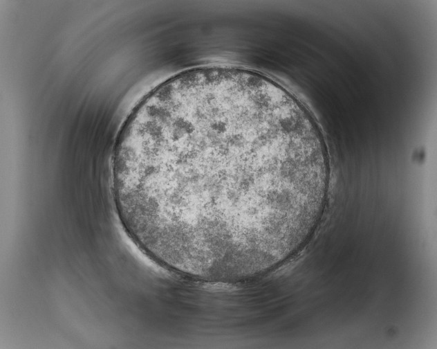 X0000114221239200911201038