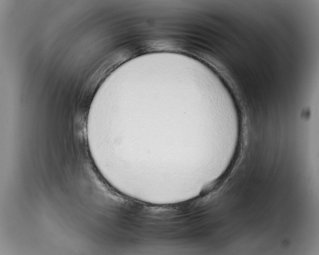 X0000114221241200911201038