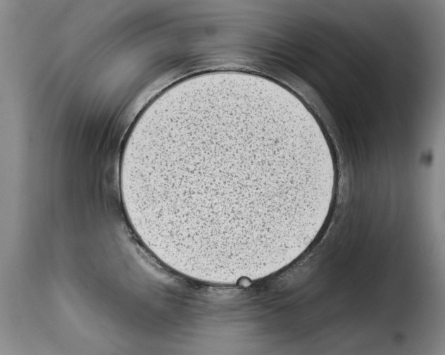 X0000114221242200911201038