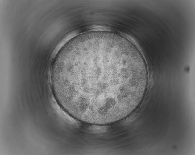 X0000114221243200911201038